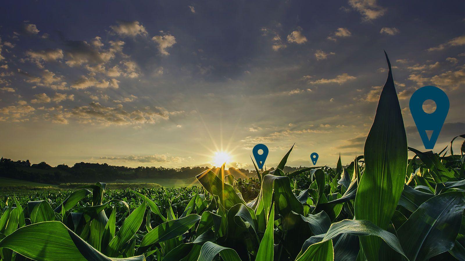 Smart Farming: The Future of Sustainable Agriculture