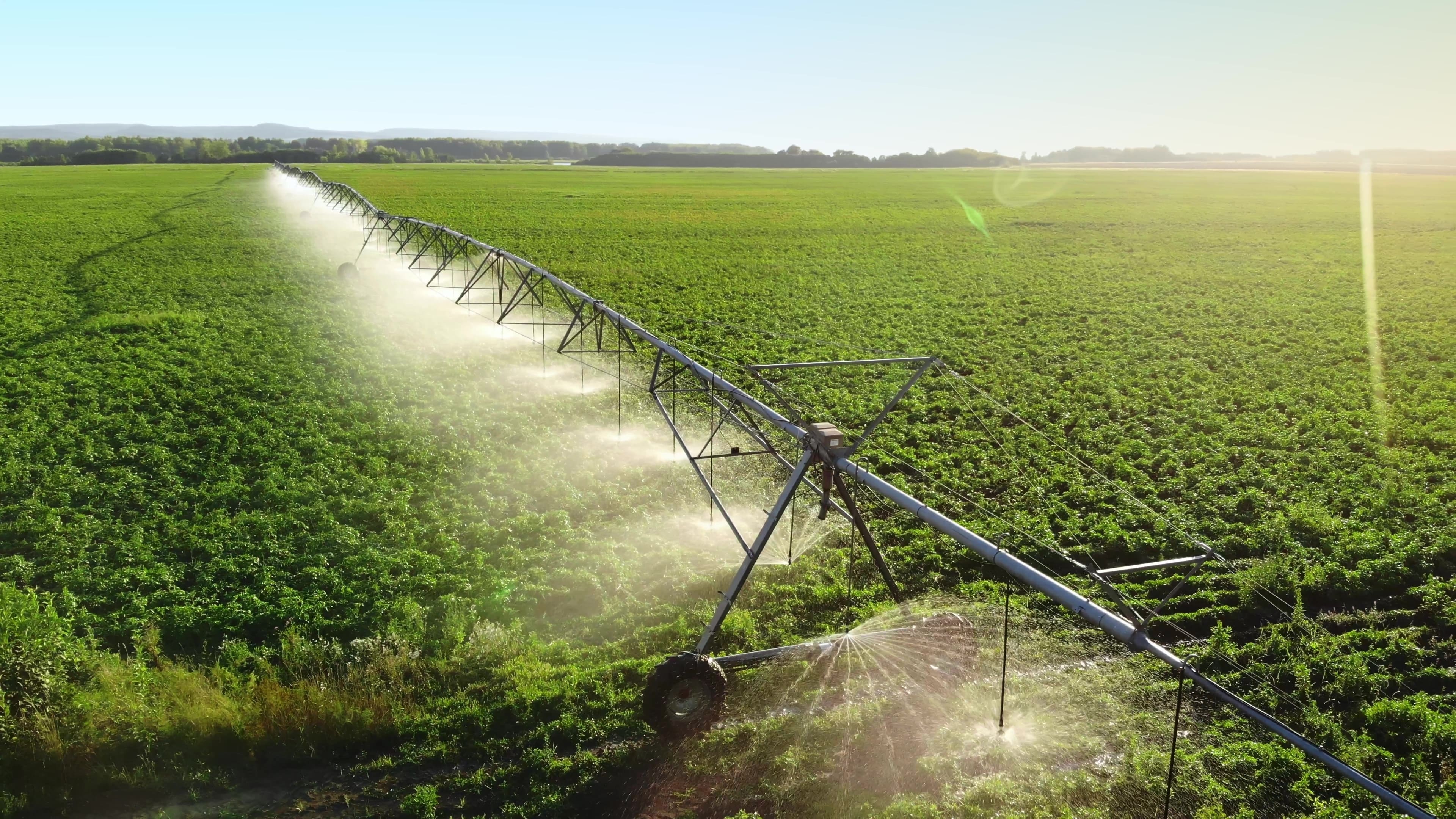 The Mirror of Modern Farming